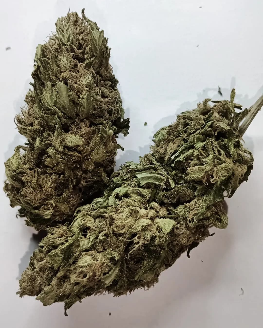 Jet Fuel — Outdoor — Outdoor