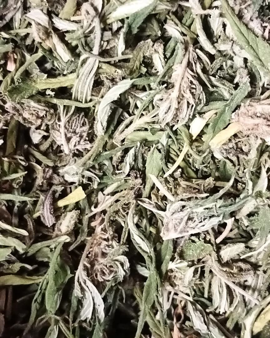 Trim — Outdoor — Outdoor