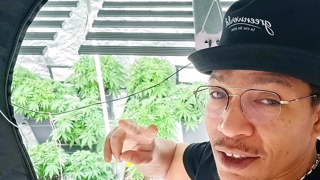 Andy, le producteur GreenWorld, dans sa chambre de culture