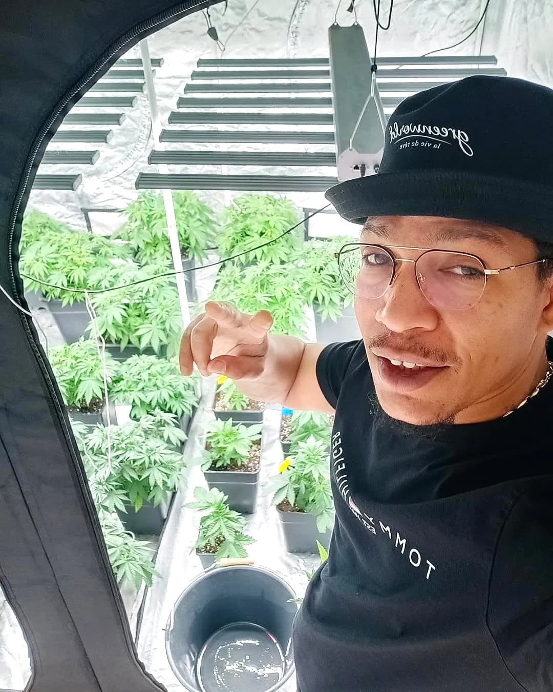 Le producteur GreenWorld dans sa chambre de culture
